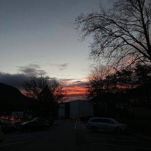 Meet your Posher, Capucine